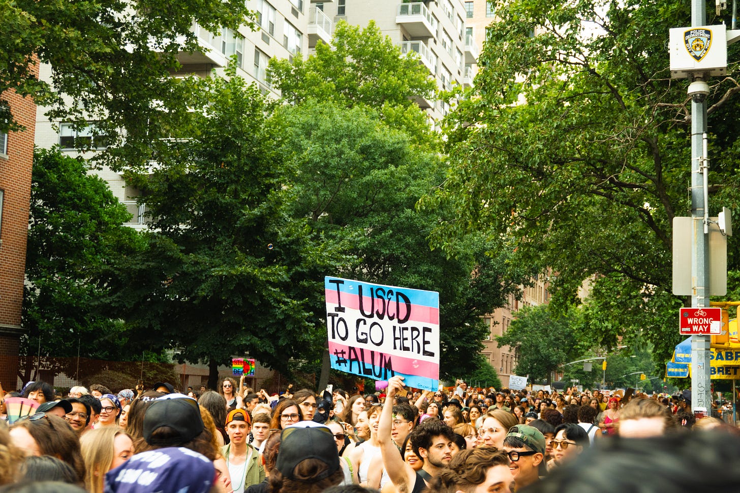 A crowd of queers under a green understory of trees. Above the crowd is a sign in focus that reads “I Used to Go here #alum”
