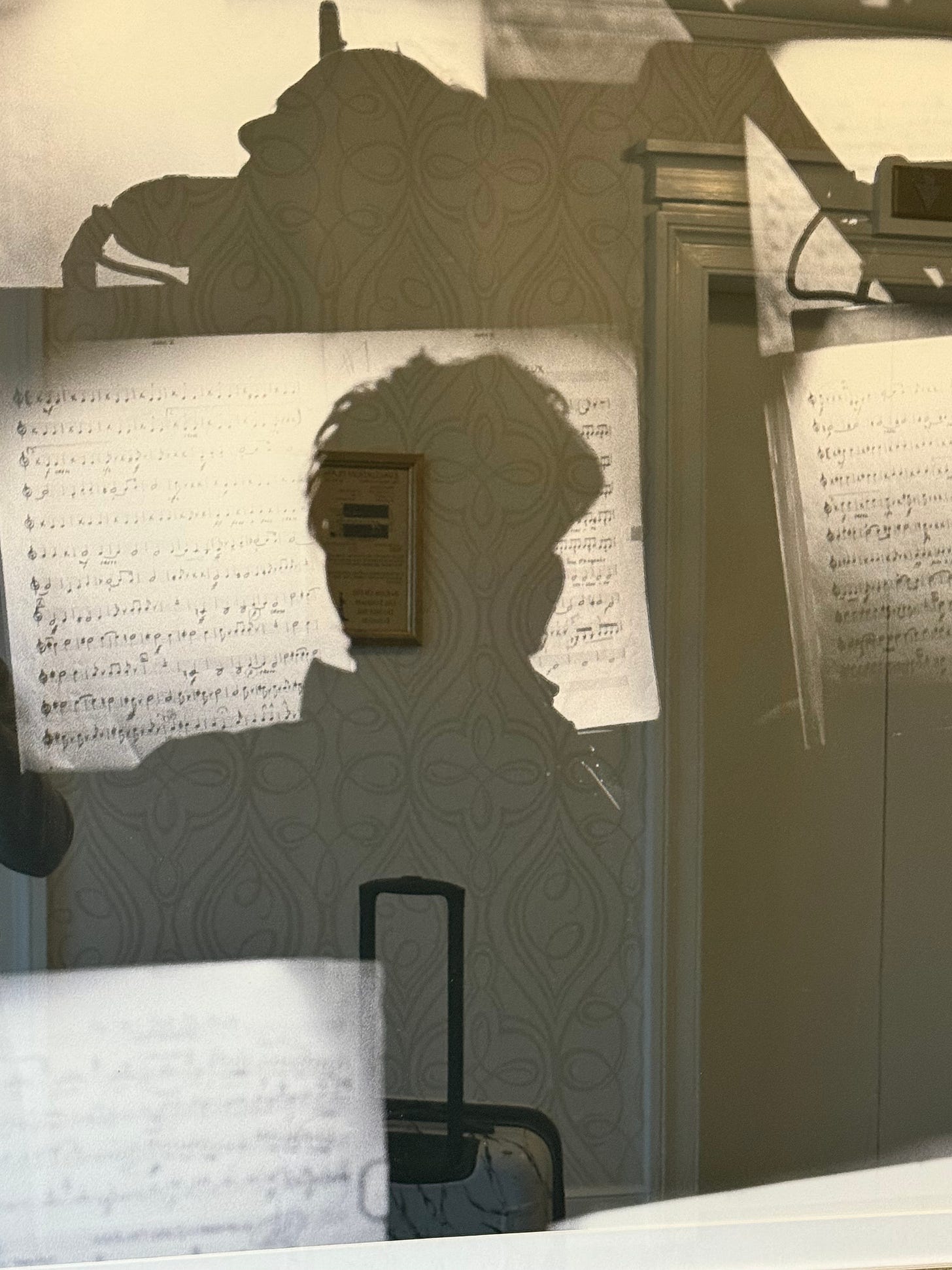 In a hotel lobby hangs a framed image of the backside of a person, which looks exactly like Andrea Gibson's shadow, standing before sheet music.