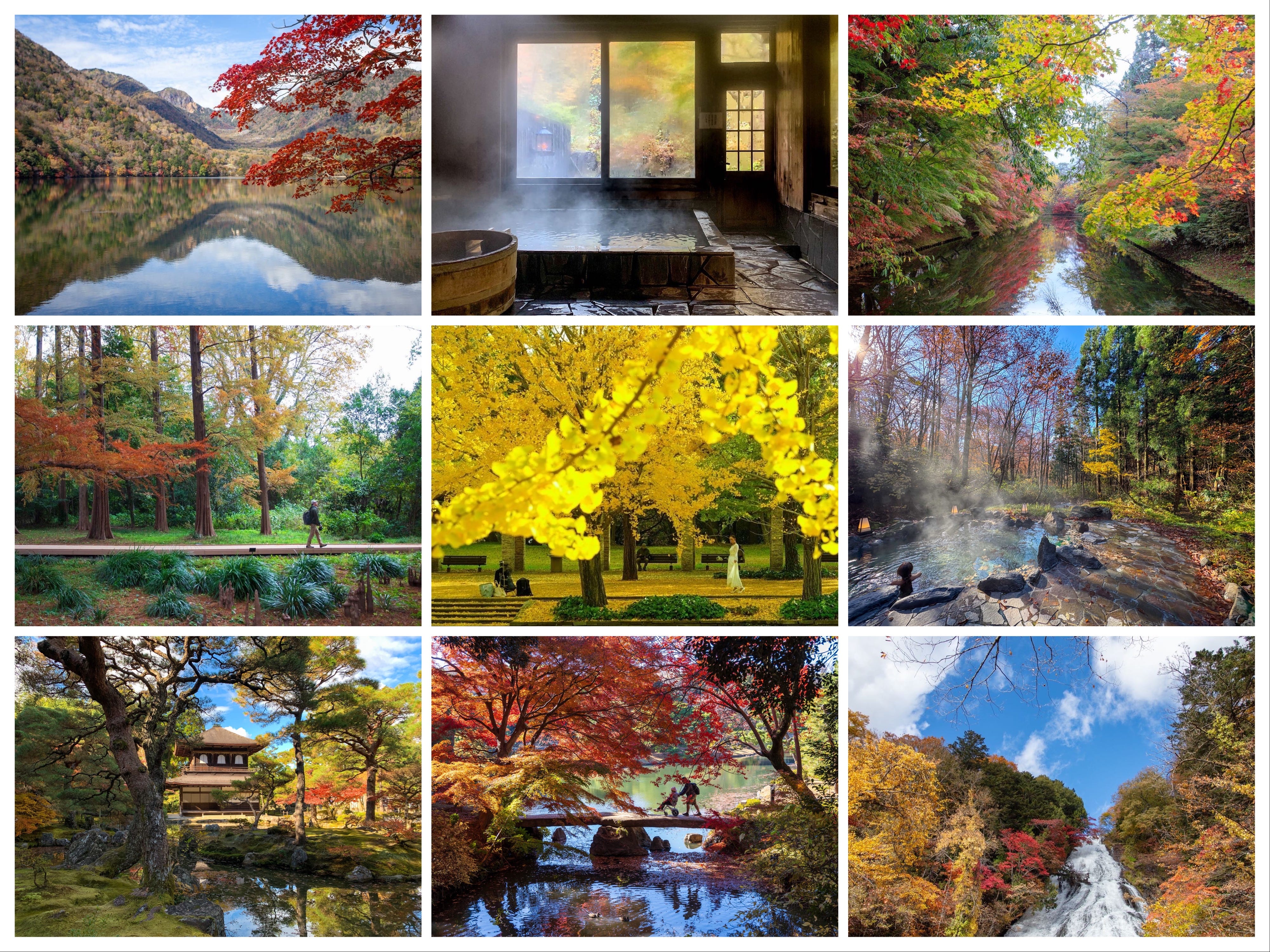 The Mighty Autumn Colors - by Burcu Basar