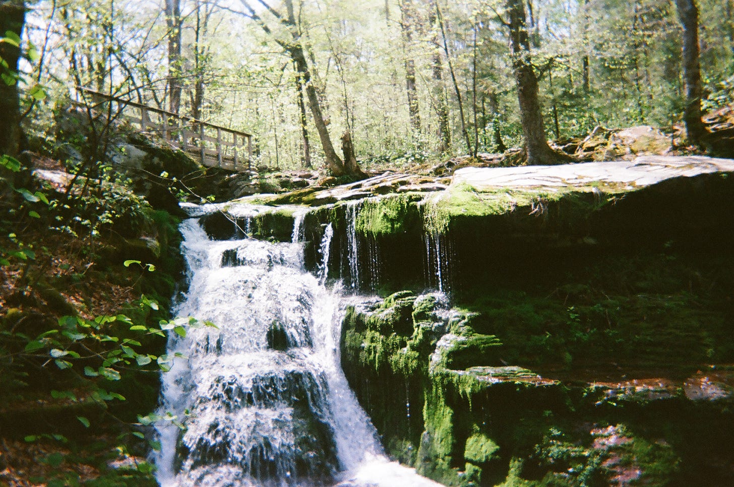 A verdant mossy waterfall