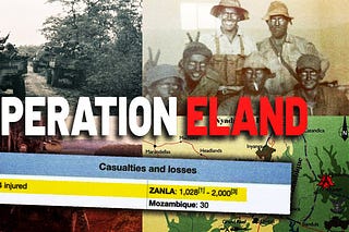 Zoomer Historian | Substack