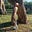 Liz Cameron's avatar