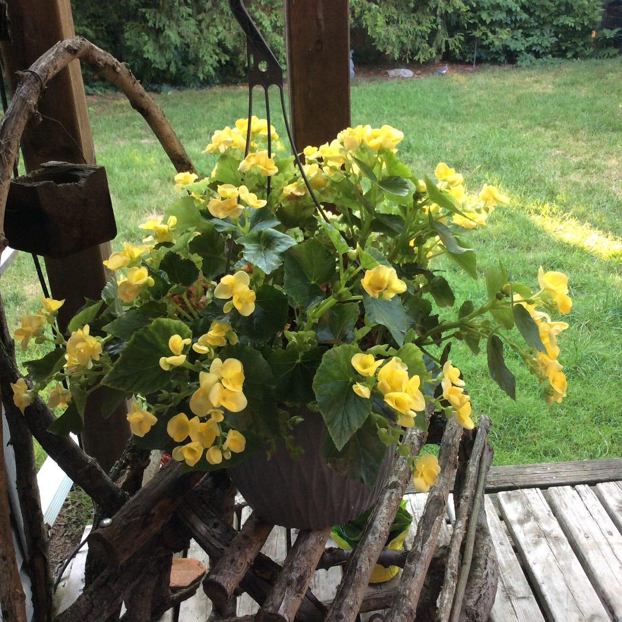 Variations on a Theme