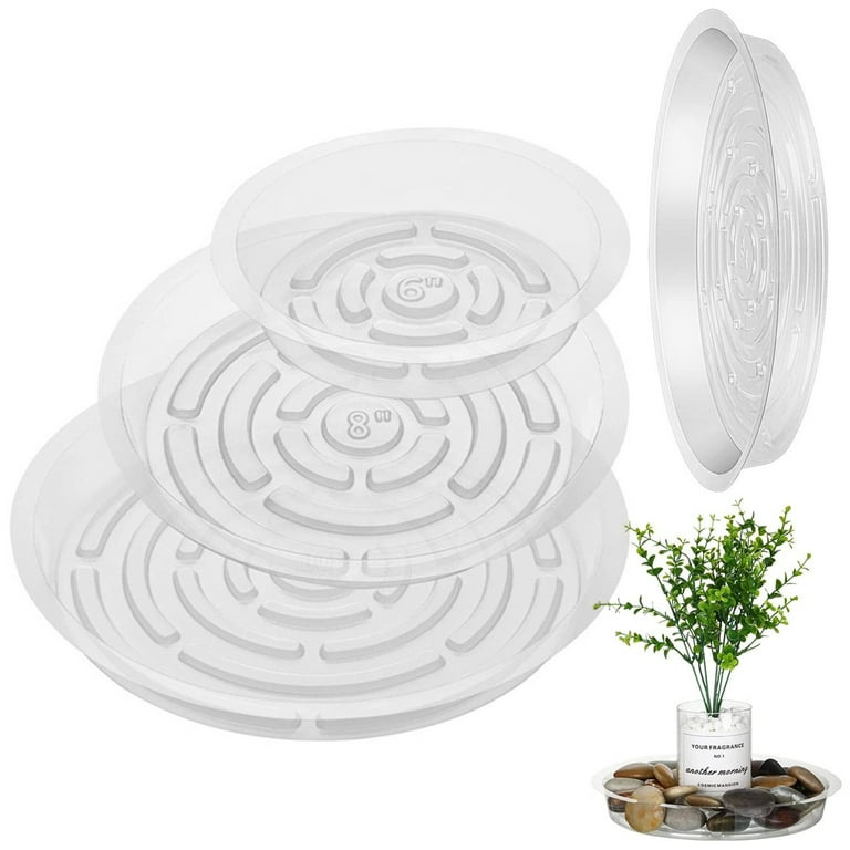30 Pack Clear Plastic Plant Saucer Drip Trays Plant Plate Dish for Indoor  Flower Pots and Planters (6"/8"/10") - Walmart.com