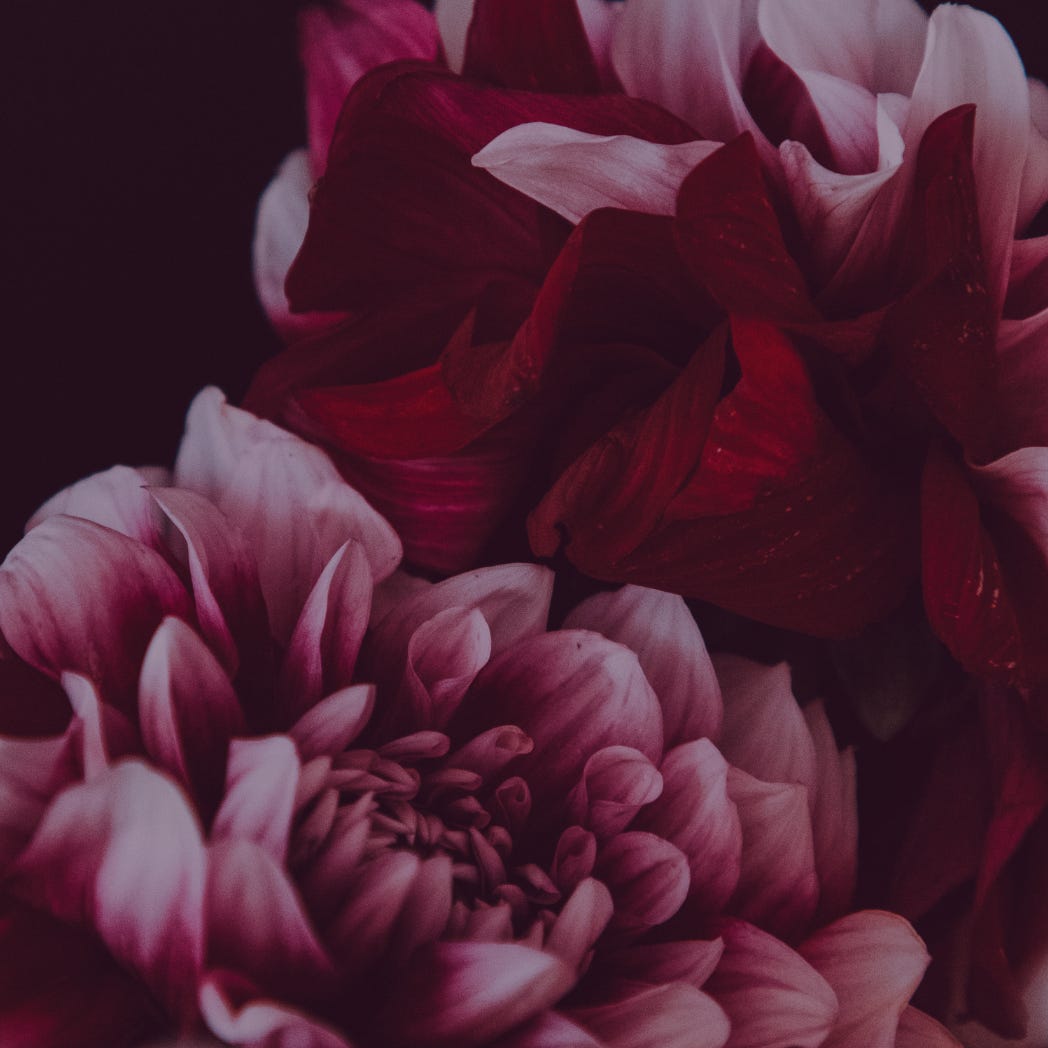 Société Literary Erotica