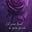 Rose's avatar