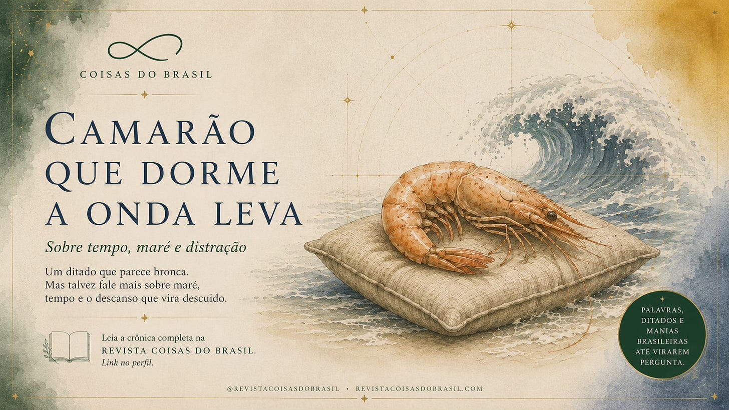 Ilustração em aquarela de um camarão sobre uma almofada diante de uma onda, para a crônica “Camarão que dorme a onda leva”.