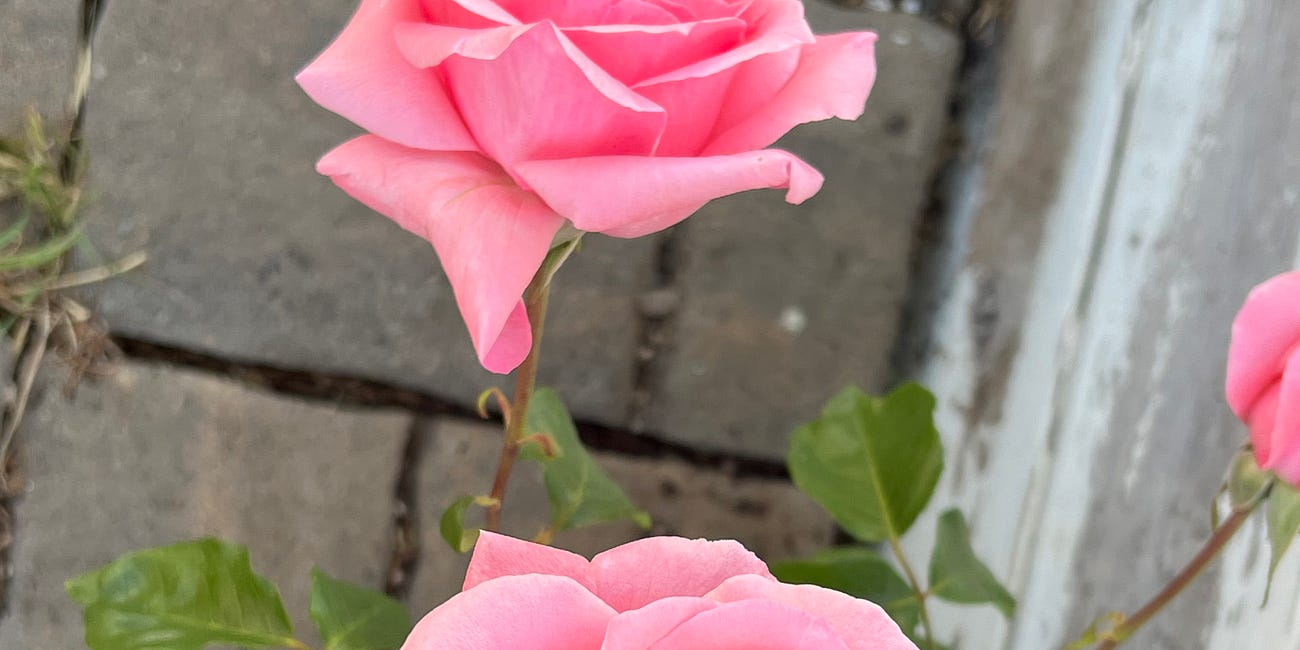 “IN SEARCH OF MY HEART and SOUL’S DESTINY” a poem about embracing change as our path to fulfillment