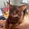 Nazar's avatar