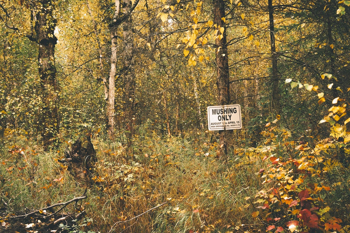 Photo of a mushing only sign among the forest.