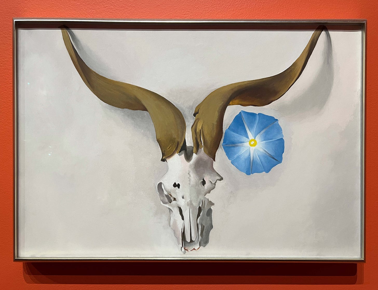 Ram’s Head and Blue Morning Glory by Georgia O’Keefee, 1938