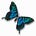 Debra Littrell's avatar
