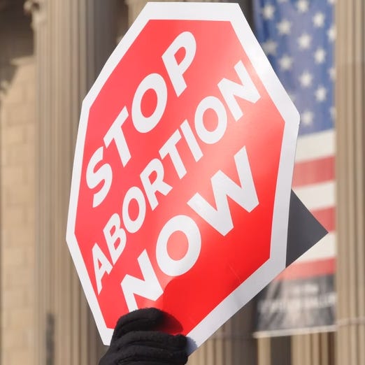 Artwork for Equal Protection for Posterity