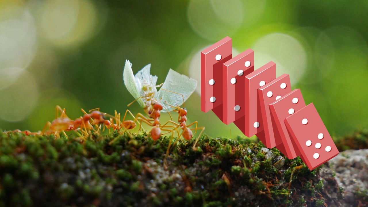 This image illustrates the powerful ecological role of ants using a striking visual metaphor: a colony of leafcutter ants carrying vegetation beneath a toppling line of dominoes. The dominoes symbolize the cascading effects ants can trigger within ecosystems — from soil health to plant diversity. It hints at how small creatures can have disproportionately large impacts, much like a single domino can start a chain reaction. This image illustrates the powerful ecological role of ants using a striking visual metaphor: a colony of leafcutter ants carrying vegetation beneath a toppling line of dominoes. The dominoes symbolize the cascading effects ants can trigger within ecosystems — from soil health to plant diversity. It hints at how small creatures can have disproportionately large impacts, much like a single domino can start a chain reaction.