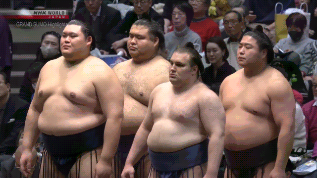 Sumo Stomp! | Tim Bissell | Substack