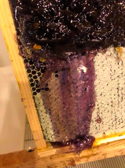 Purple honey: the genuine thing from North Carolina - Honey Bee Suite