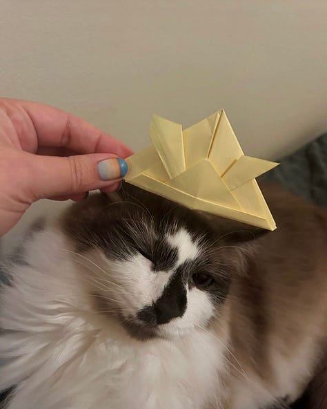 2 cats and a hamster, wearing yellow origami samurai hats