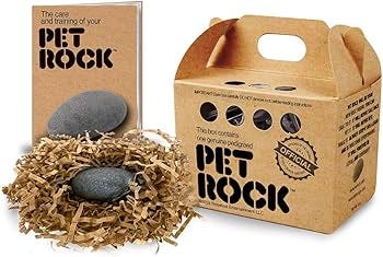 Amazon.com: Pet Rock - The Original by Gary Dahl : Pet Supplies