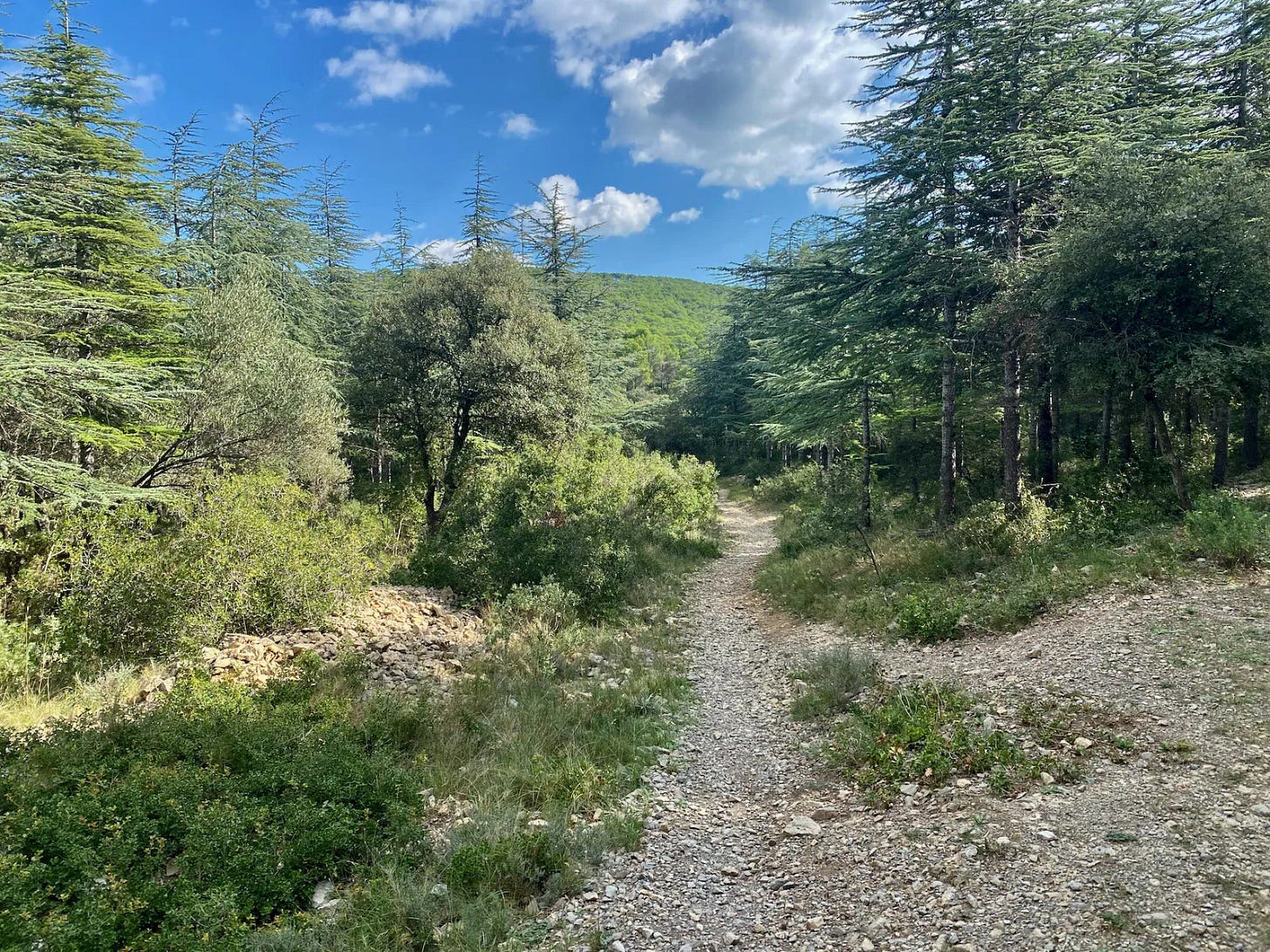 La Gardiole La Gardiole