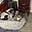 Sleeping Soundly's avatar
