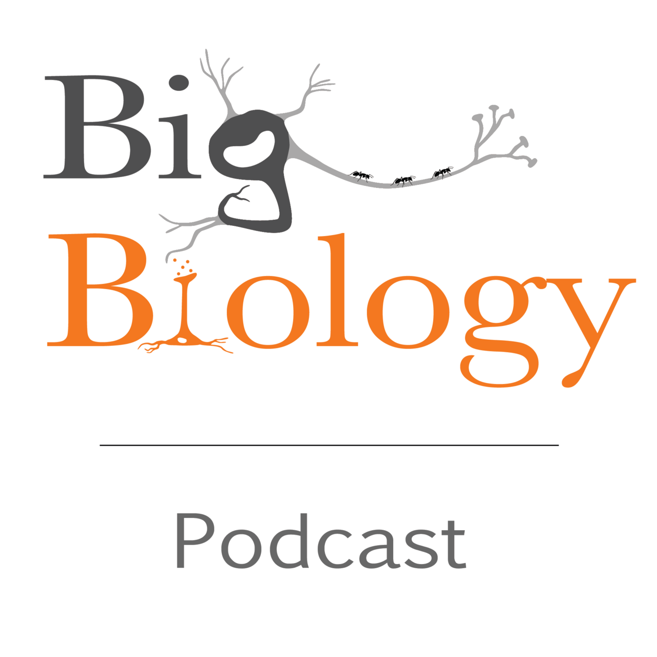 Big Biology logo