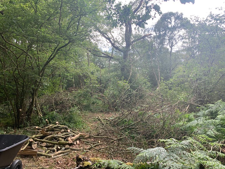 Images taken over a four hour period of crosscutting and ferrying firewood backwards and forwards.