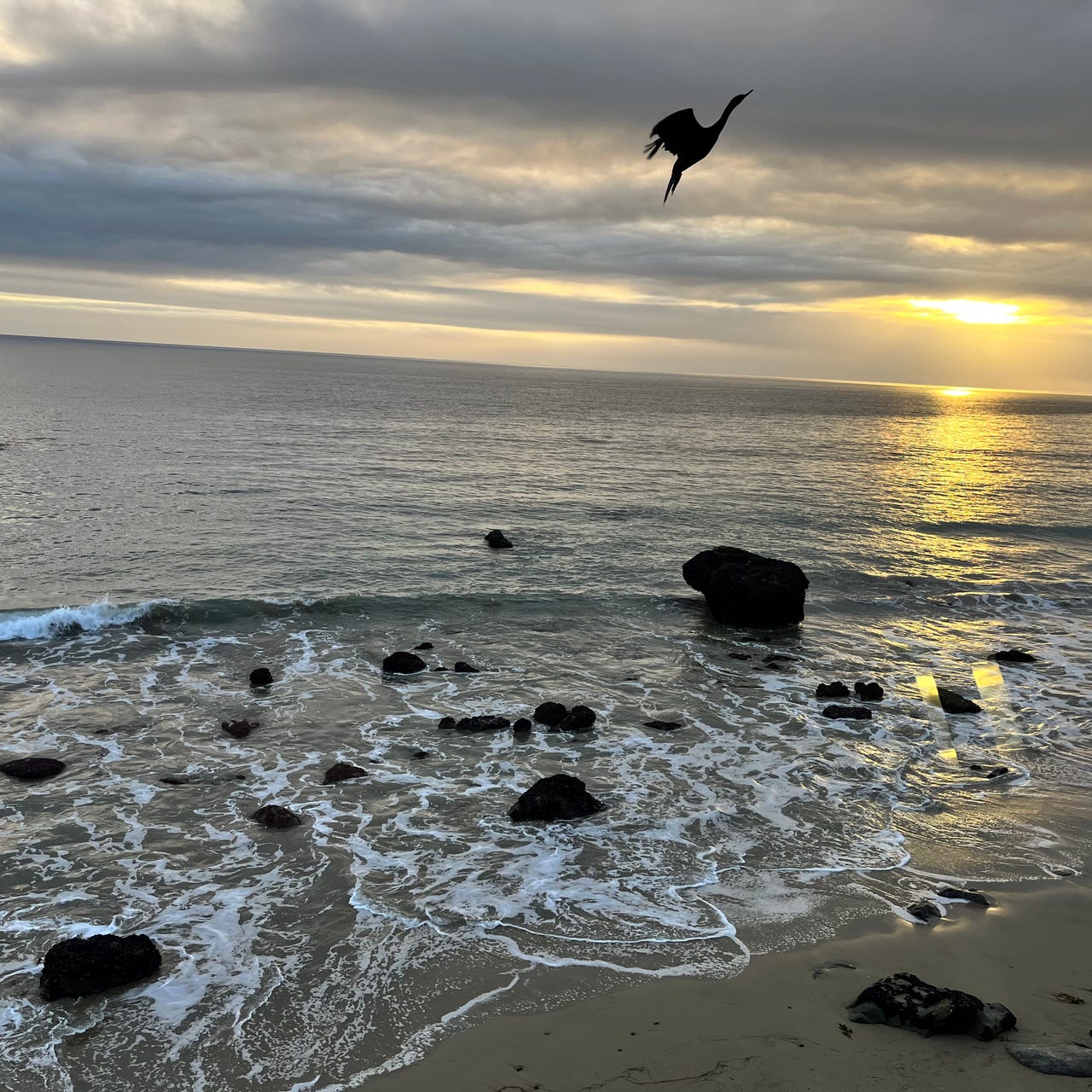 The Surfer, Shrink & Saint’s Substack