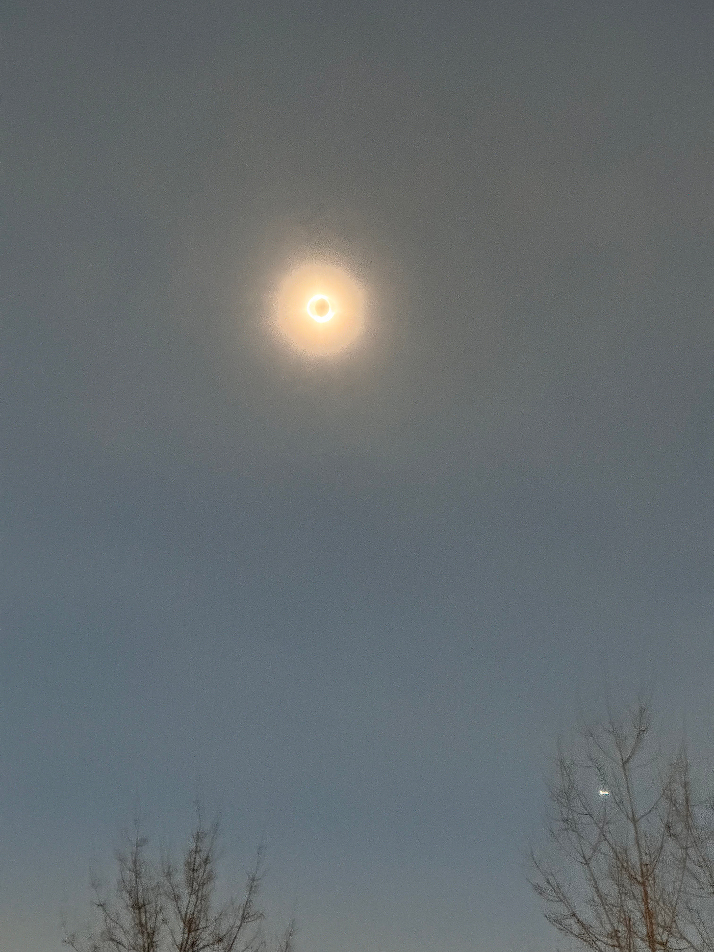 Close-up of the total eclipse, grainy bad photo taken with an iPhone. The white ring of the corona is visible against a dark sky.