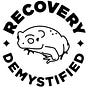 Recovery Demystified's avatar