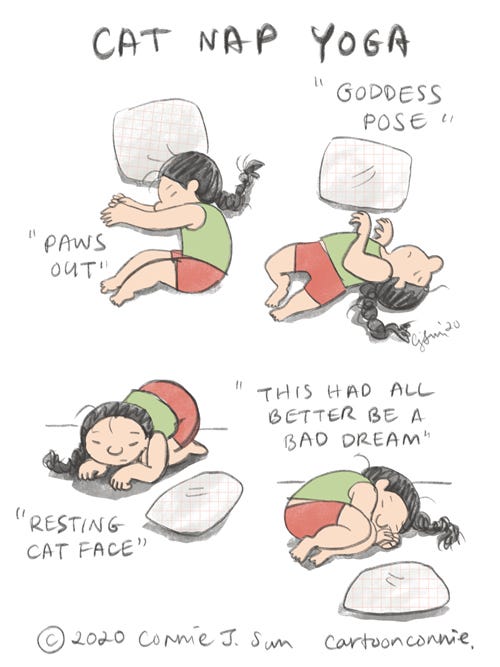 cat nap poses, comic strip, cat humor, moods, anxiety, coping, cartoon by connie sun, cartoonconnie