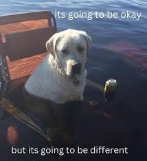 fanart of my favourite hopecore meme that has grounded me through so much  change and uncertainty… like tell me why this dog has comforted me through  the worst of times