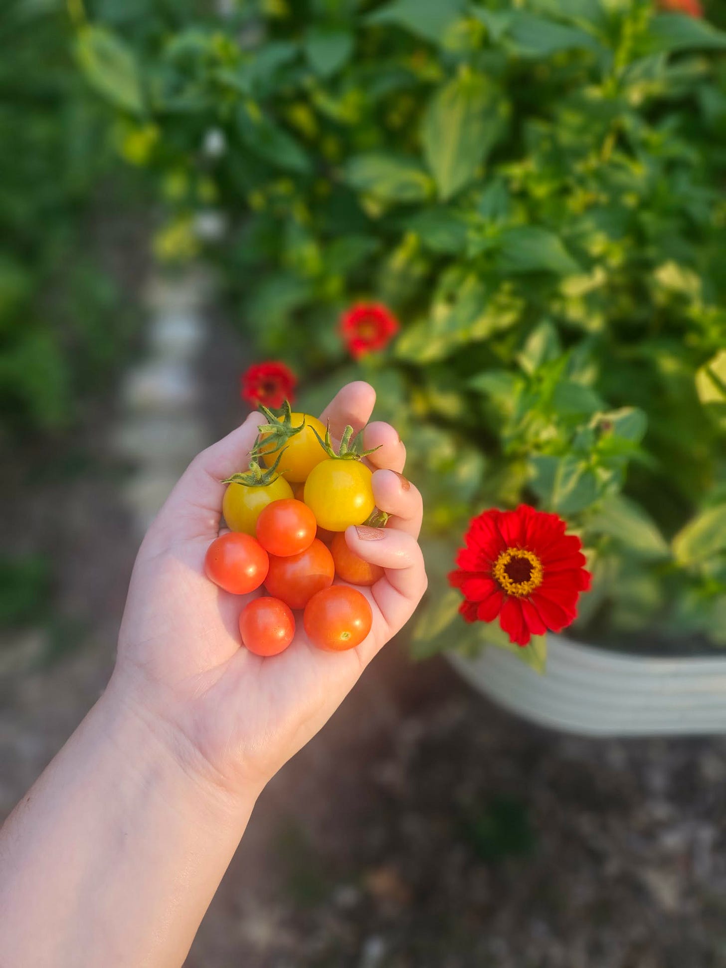 Every garden is a community garden