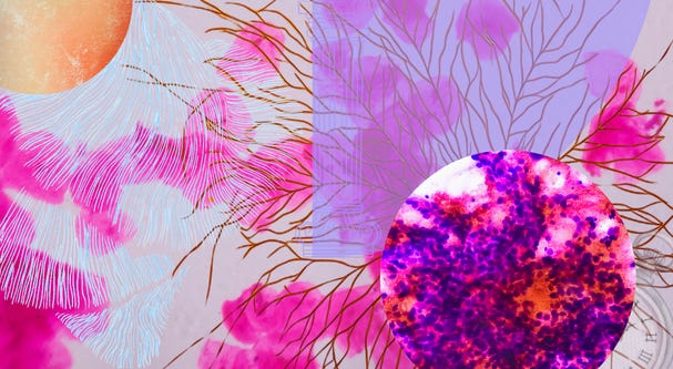 Pink and purple collage of feathered lines and a cell-like orb—on the meaning of "wellness."