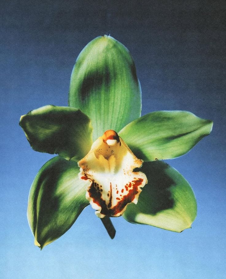 This may contain: a green flower with brown spots on it's petals and blue sky in the background