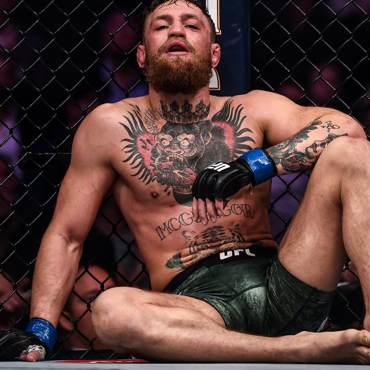 Politics forever': McGregor fined $50,000, Nurmagomedov $500,000 for UFC  229 brawl | UFC | The Guardian