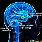 Sabrina Wallace: Τα Κύτταρά σας Είναι το Chip