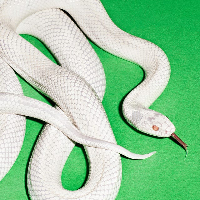 private music - Album by Deftones | Spotify