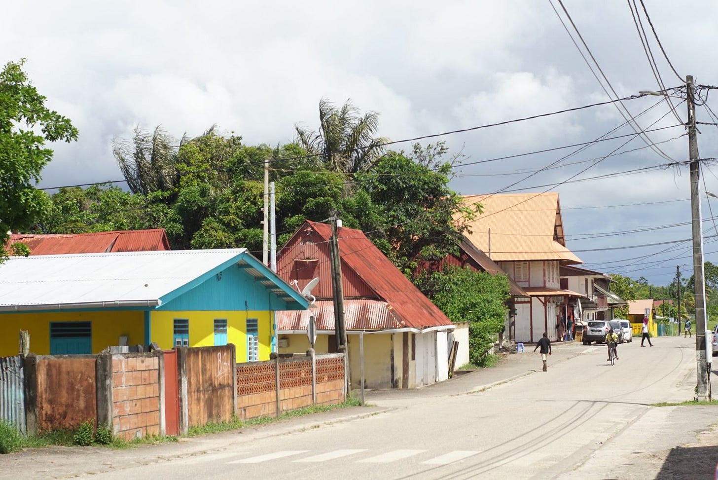 Sortir de la jungle Sortir de la jungle