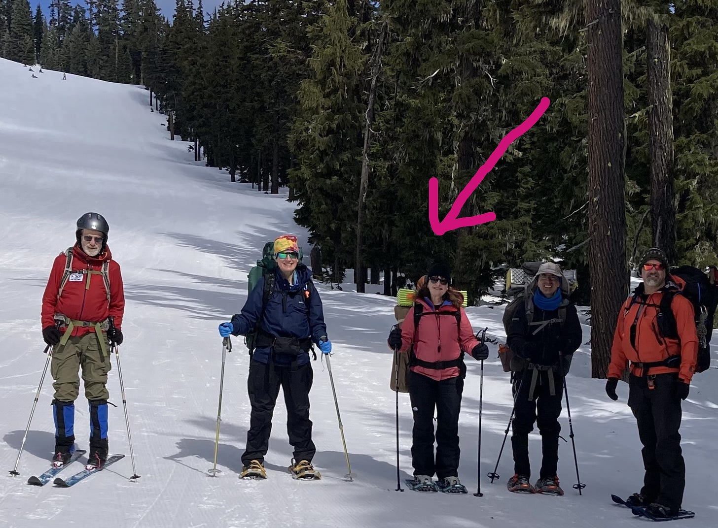 Five people in winter coats on snowshoes and skis with poles, on a blue-sky day in the snow with a background of evergreens.