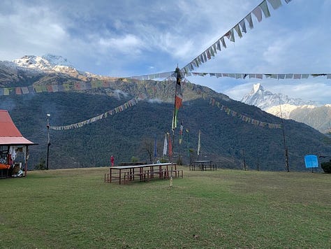 Grandfather and Nabbu Raaj, beautiful Mountain Discover Lodge, Macchapucchre shining down, the dining hall, my humble room, and puppies!