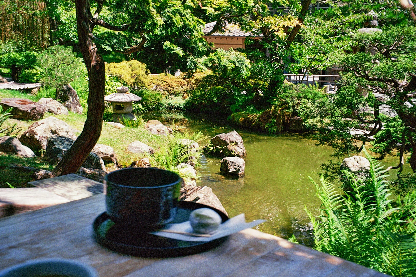 A lush and shady Japanese-style garden with lots of trees and plants, large stones, and a green pool of water. A ceramic cup of green tea and a piece of mochi is out of focus on a table in the foreground.
