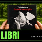 “Grande Meraviglia” di Viola Ardone ci insegna a guardare oltre il pregiudizio.