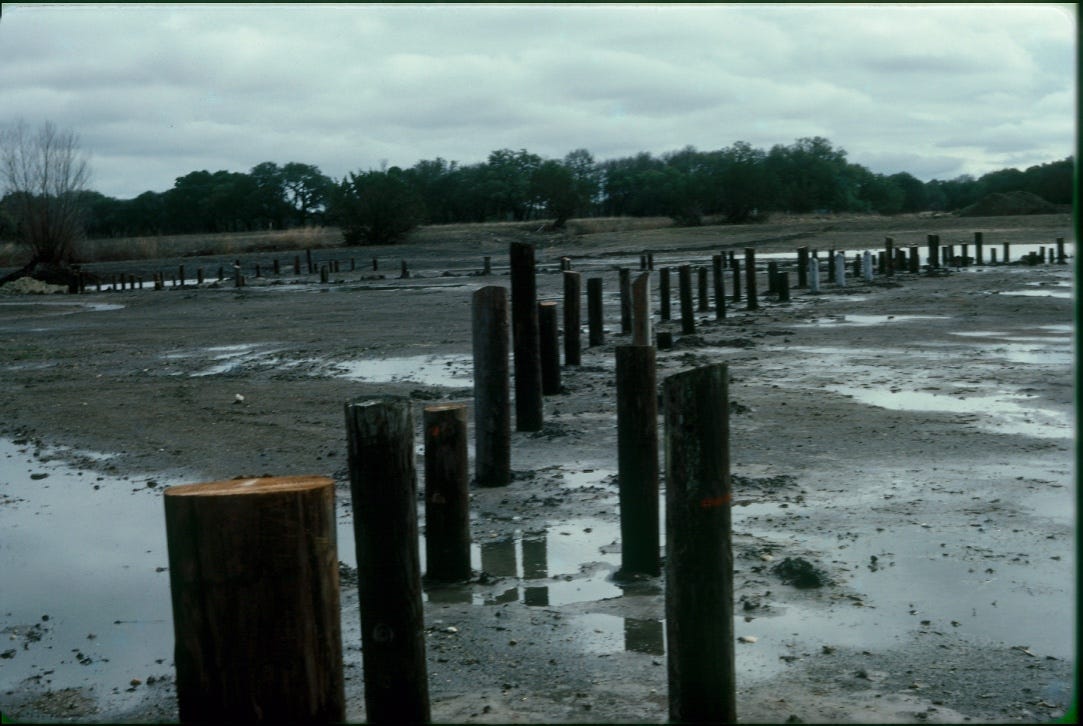 A close-up of a mud covered area

AI-generated content may be incorrect.