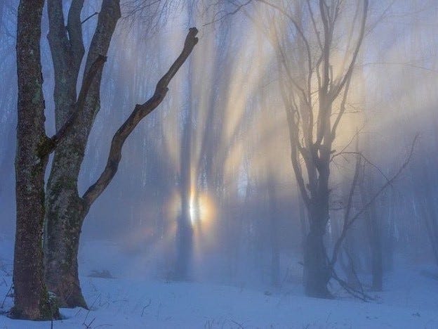 An Instagram  post added on Feb 11, 2024. The author is @demons.tale. May present: winter, cloud, atmosphere, water, sky.