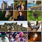 Culture Digest 17.04.26