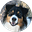 DRH's avatar