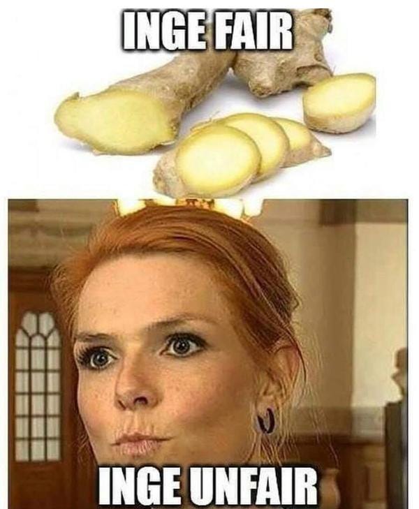 Det Bedste: Dagens compilation: Inger Støjberg GIF og MEME combilation