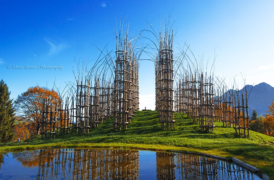 cattedrale-vegetale-tree-cathedral-giuliano-mauri-11[1]