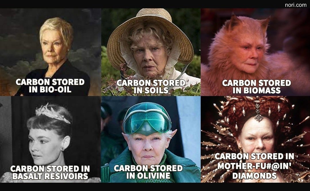 Grid of six Judi Dench roles, labelled "Carbon stored in bio-oil", "Carbon stored in soils", "Carbon stored in biomass" (as a cat), "Carbon stored in basalt reservoirs", "Carbon stored in olivine" and "Carbon stored in mother-fu#@in' diamonds" (as Queen Elizabeth).