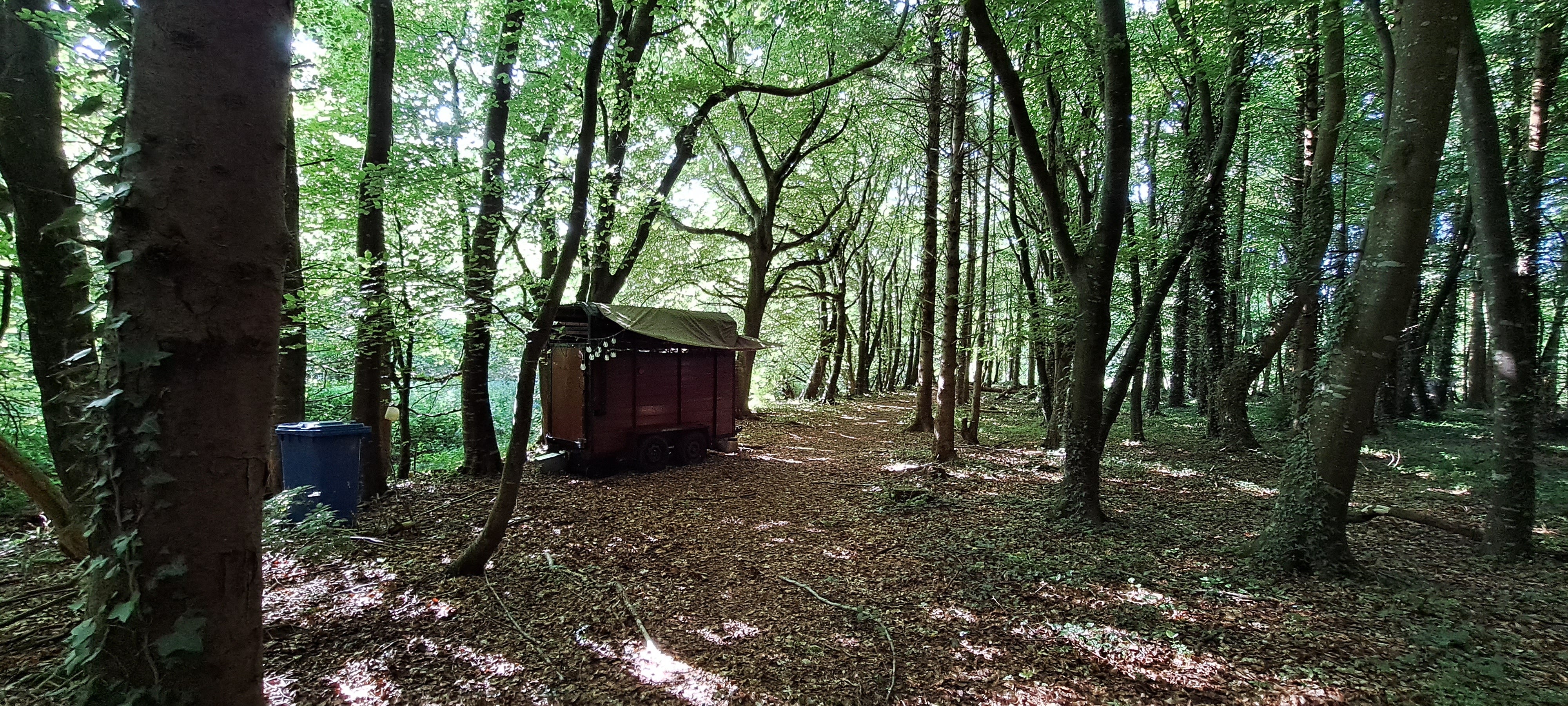 between the trees nestles an old animal trailer that has been converted into a composting toilet. It has a tarpaulin for a roof. A foot path passes to the right of the trailer.